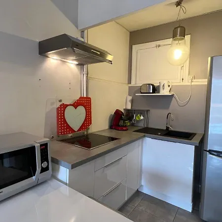 Apartment T1 Moderne, Cosy Au Centre-ville D'aix-les-bains, Proche Des Thermes Et Commerces! - Fr-1-555-33 Aix-les-Bains